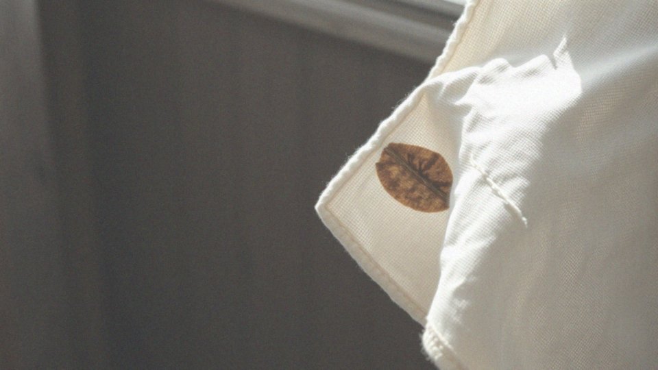 Stara plama z długopisu – skuteczne metody usuwania