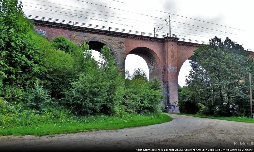 Jubileusz 125-lecia pierwszego kursu kolejki wąskotorowej w Pleszewie